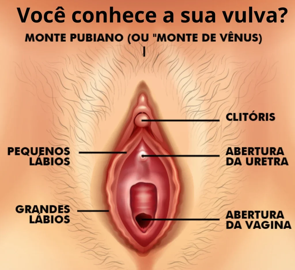 Vulvoscopia